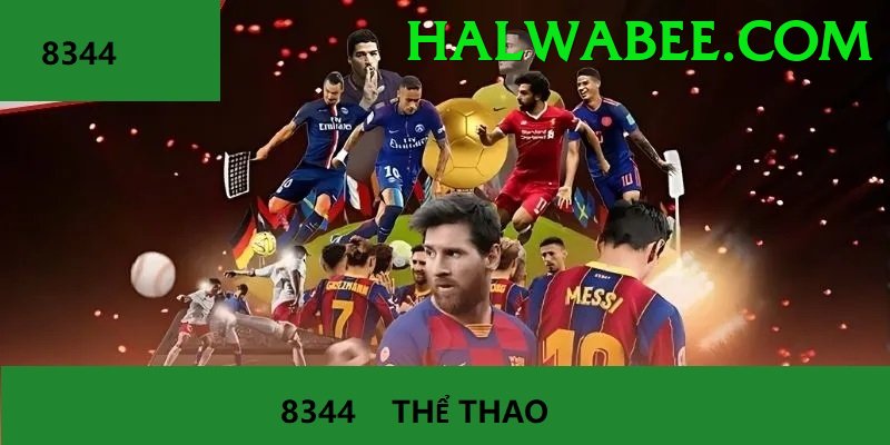 Cá Cược Thể Thao - vk88